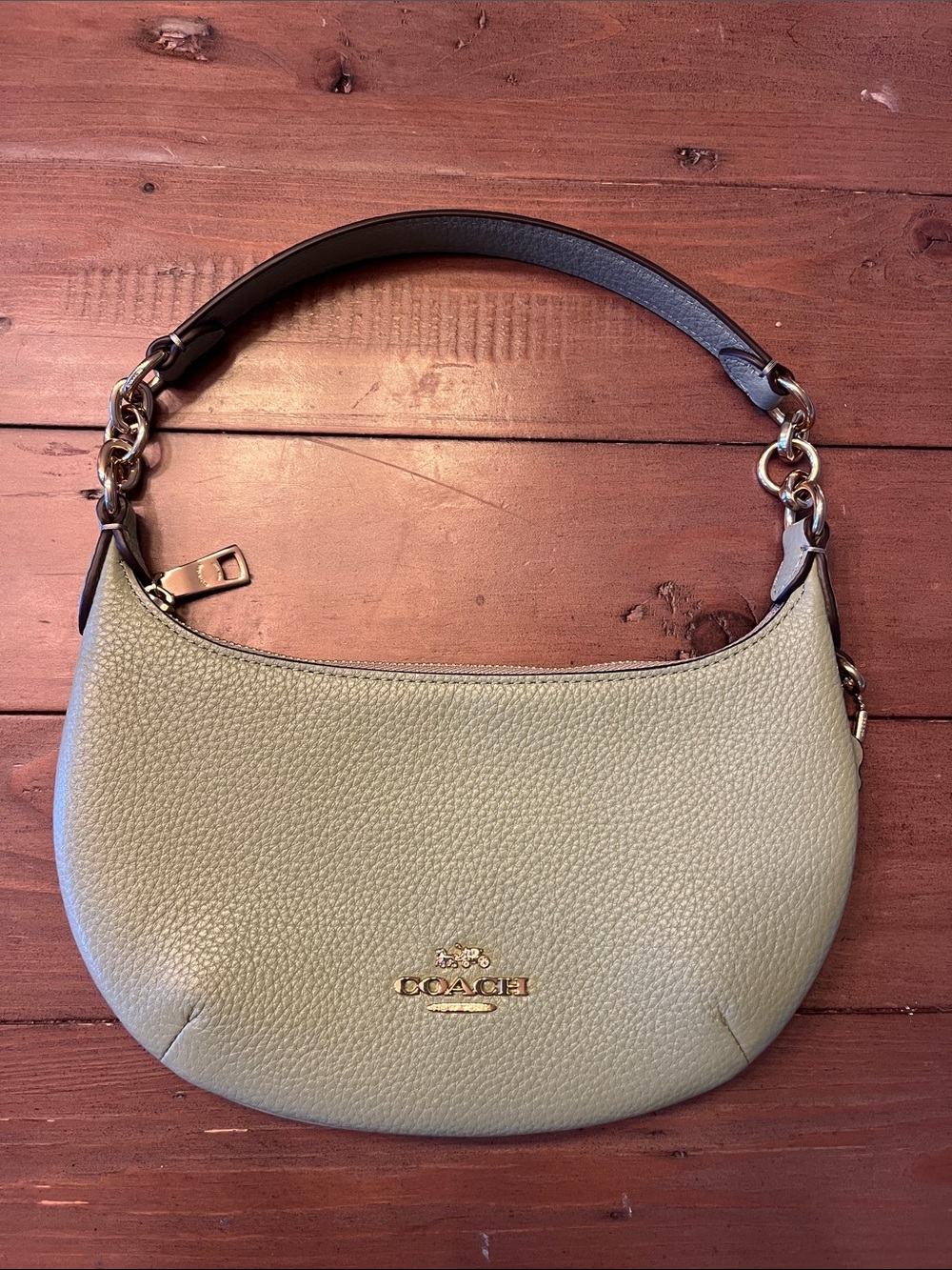 COACH Pebbled Leather Hobo Bag in Sage Green with Dark Brown Strap